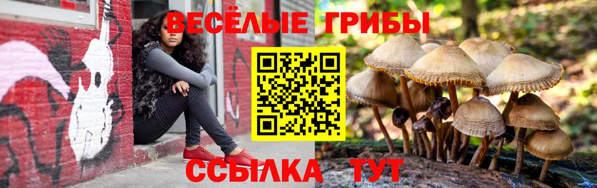 Карталы  Галлюциногенные грибы прущие грибы  Вход с VPN 